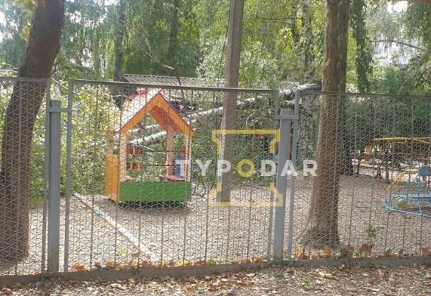На игровую площадку детсада в Краснодаре снова рухнуло дерево