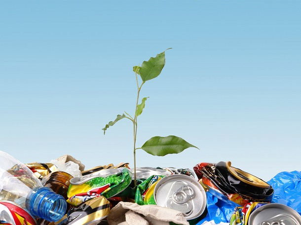 В Сочи могут построить «зеленый» завод для переработки отходов
