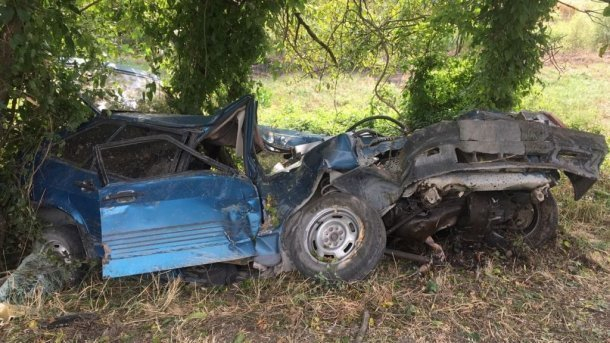 После столкновения с деревом в Красноармейском районе погиб водитель