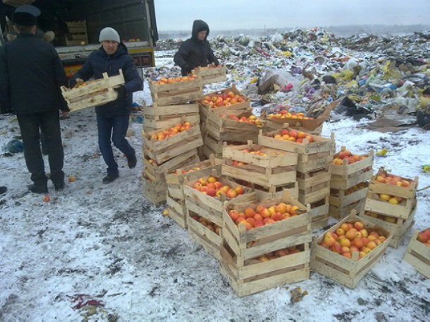 Свыше 100 тонн «санкционных продуктов» уничтожено на Кубани за год