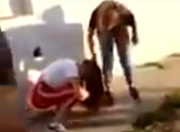 Видео, на котором школьницы избивают сверстницу, заинтересовало полицию Краснодарского края