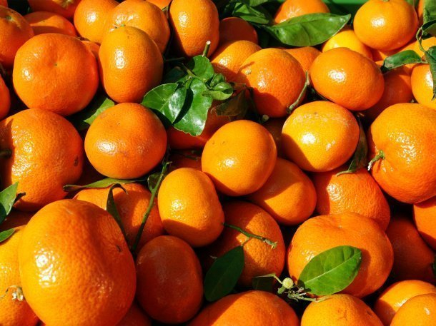 Житель Калининграда украл в Новороссийске 70 тонн мандаринов