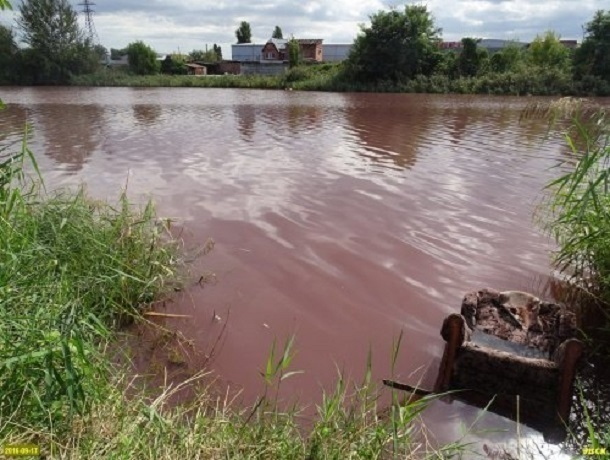 В Краснодаре цвет воды в озере поверг экологов в шок