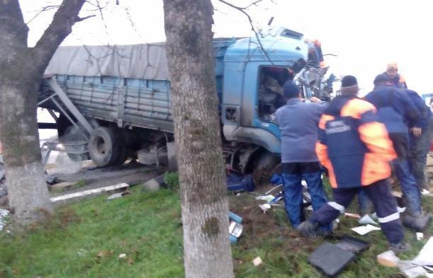 В Северском районе столкнулись большегрузы: водители погибли