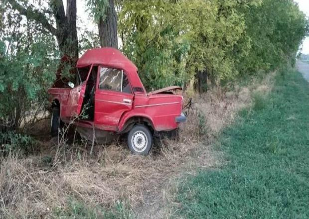 На Кубани водитель «шестерки» врезался в дерево и погиб