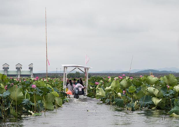 Лодка с 11 пассажирами перевернулась в реке на Кубани