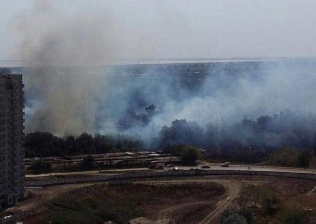 В Краснодаре пожар в лесопарке тушили около пяти часов
