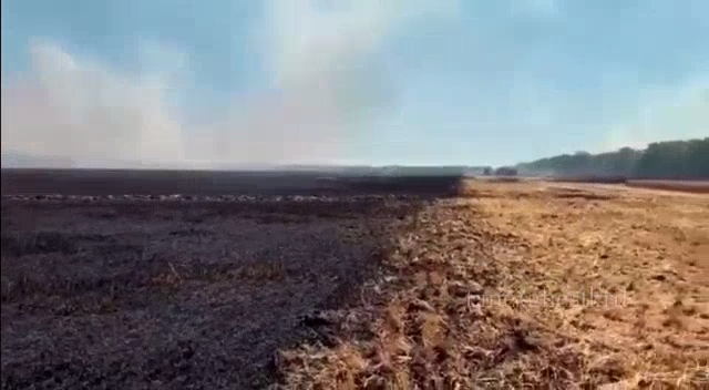 Тракторист едва не сгорел при пожаре на поле в Краснодарском крае