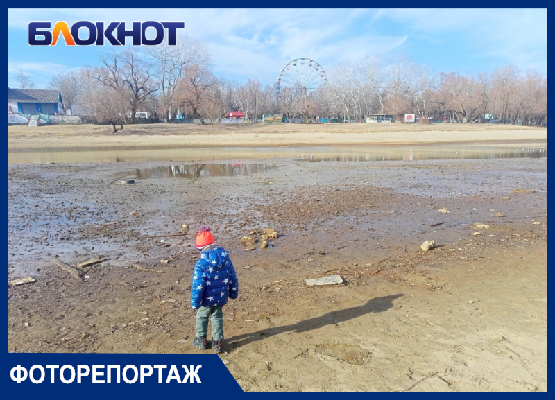 В Краснодаре на Затоне пересохла река Кубань: фото и видео