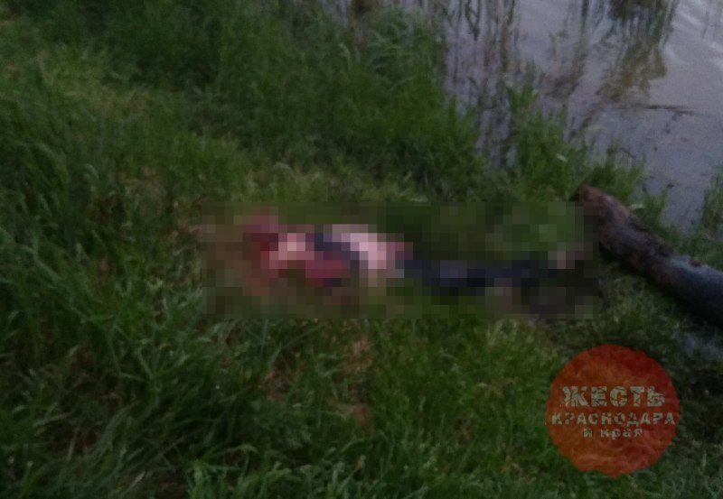 Возле Карасуна в Краснодаре нашли изуродованное тело мужчины