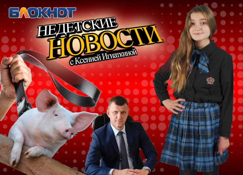 Гуляющие свиньи, показательная порка и жадные депутаты: недетские новости Краснодара