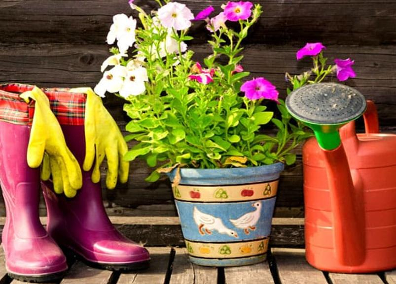 «Блокнот Краснодар» советует: чем заняться осенью садоводам