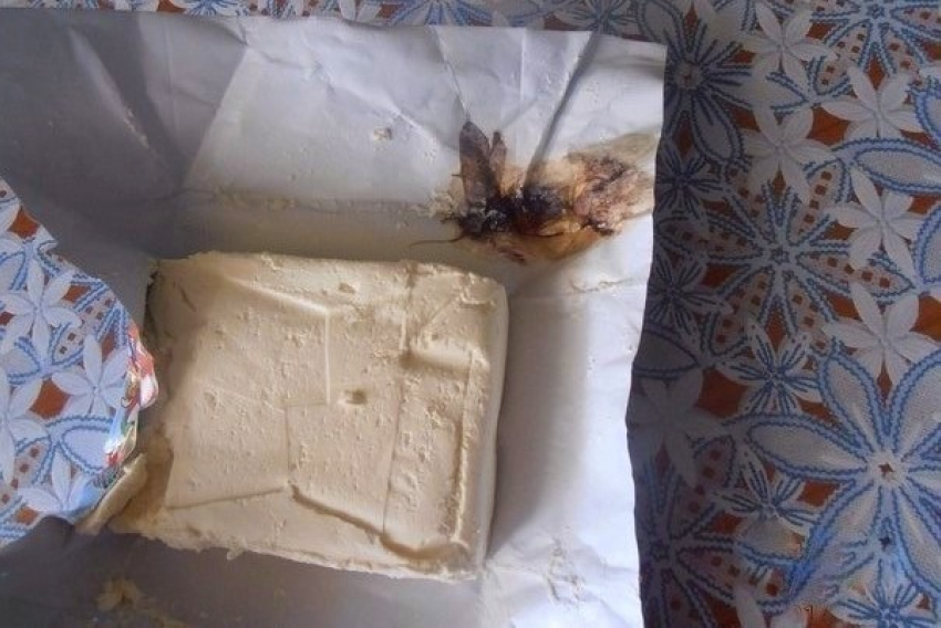 Краснодарцев пытались накормить маслом с мухами и мясом с личинками червей