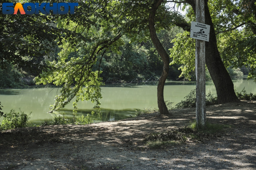 Стали известны подробности гибели четырехлетнего ребенка на озере в Краснодаре