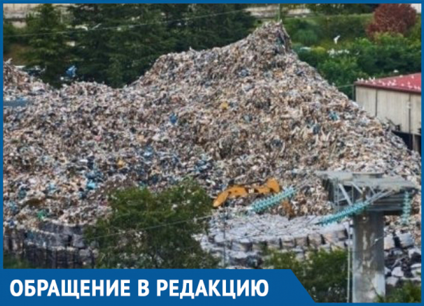 «Сочи задыхается от мусора», - жители написали петицию на имя губернатора Кубани