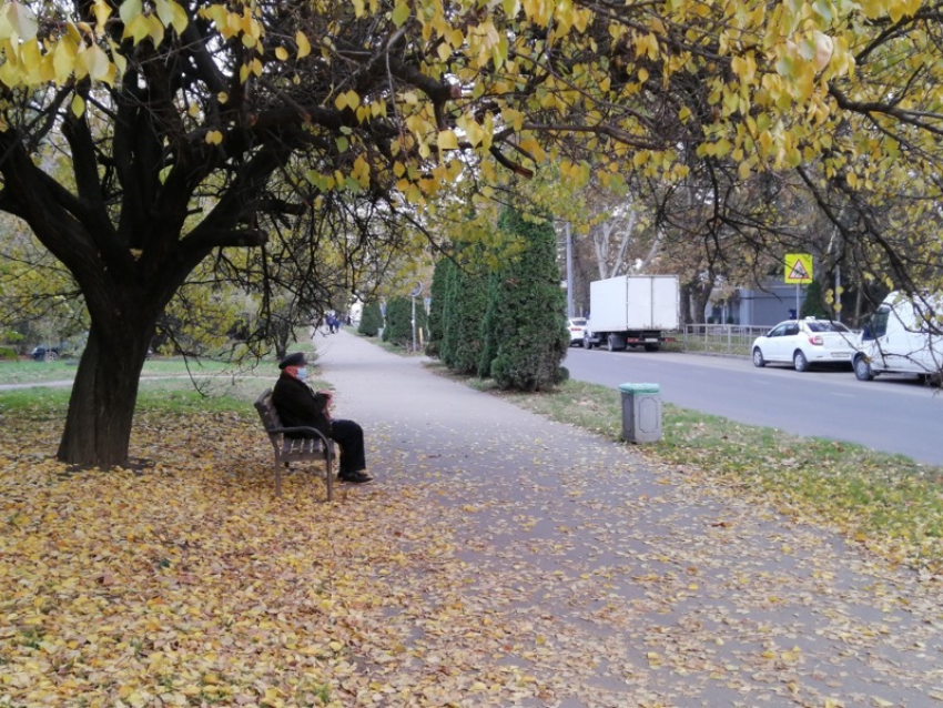 Радость краснодарцев или +10 градусов в середине ноября 