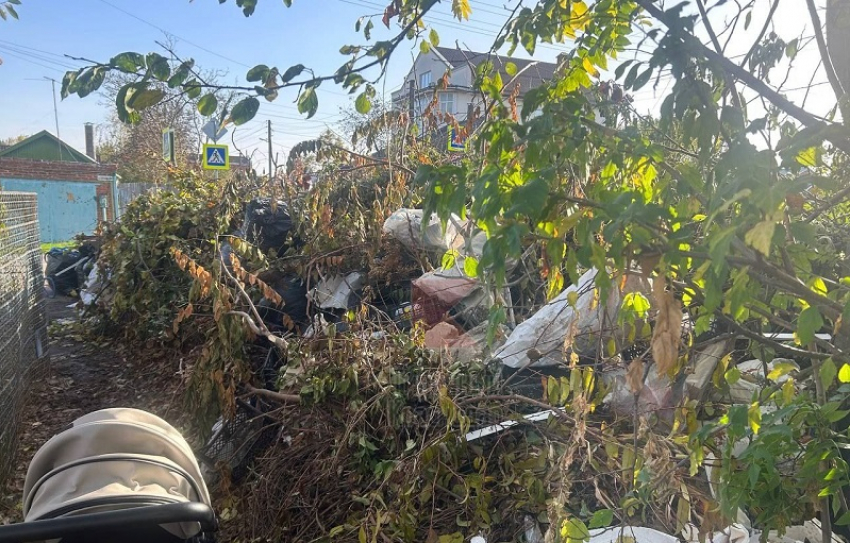 Пашковский микрорайон Краснодара утонул в мусоре