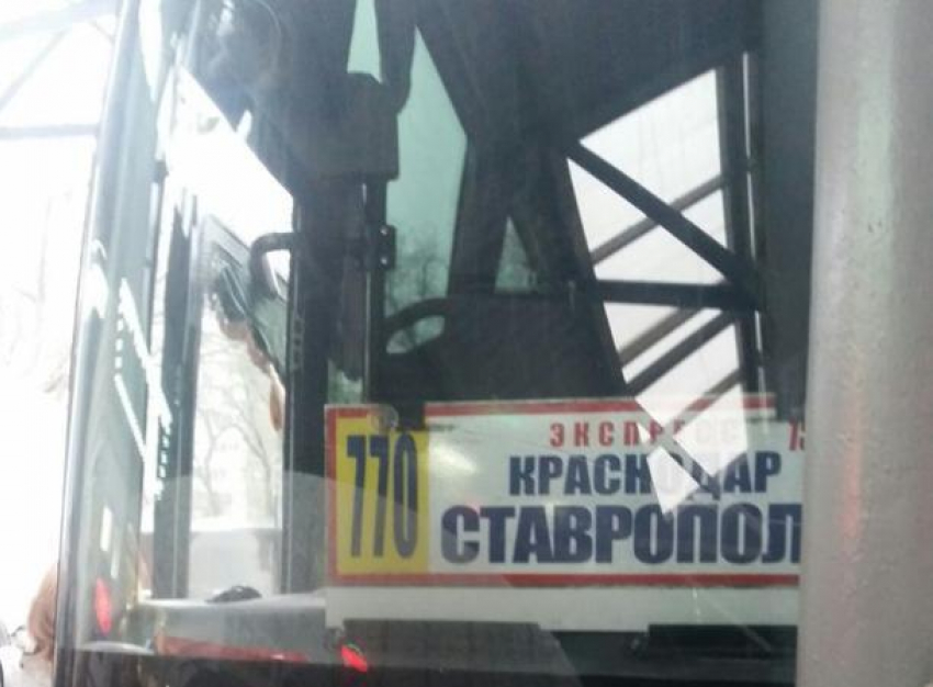 Добрые краснодарцы вернули «потеряшку» домой к маме в Ставропольский край