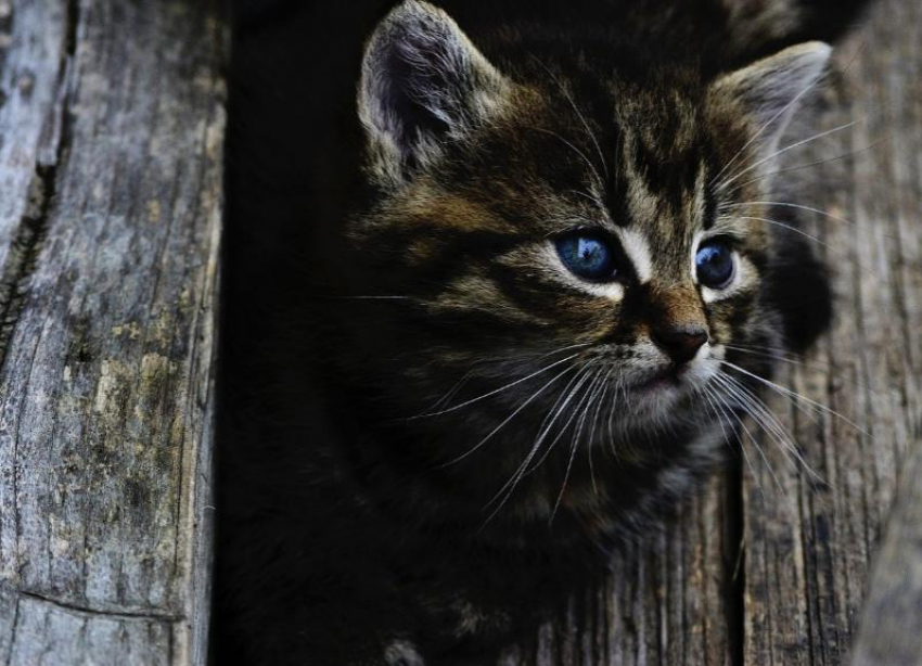В Краснодаре 20 мая будет тепло и ветрено