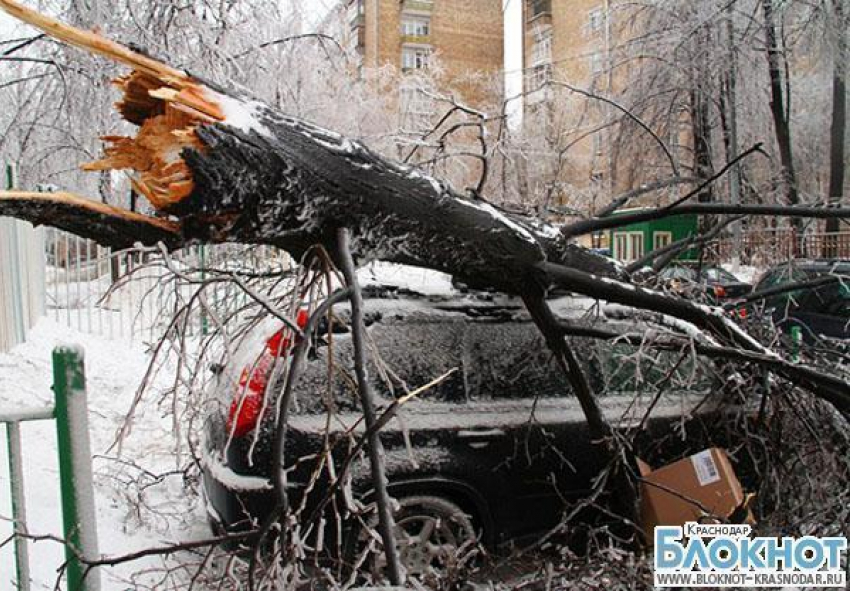 Ледяной дождь обошелся столице Кубани в 538 млн рублей