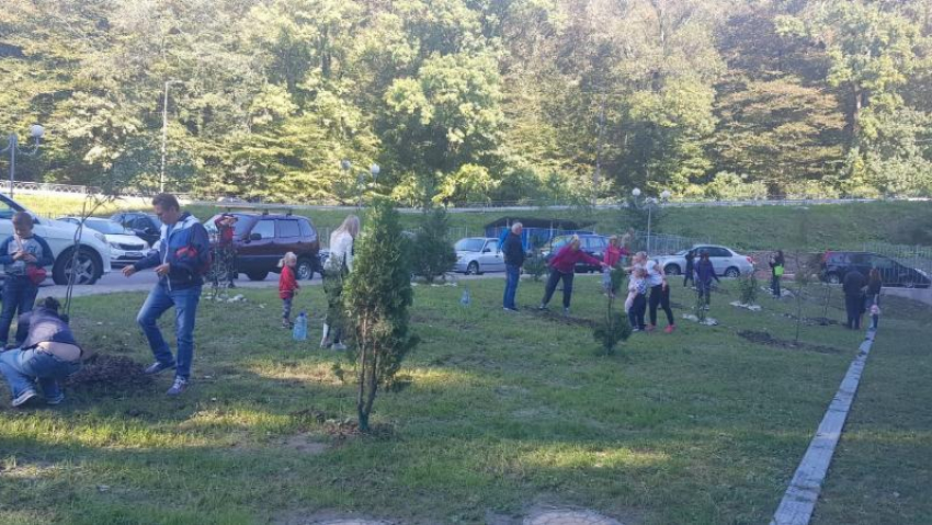 AVA Sochi провела субботник и эко-акцию по высадке деревьев в ЖК «Министерские озера»