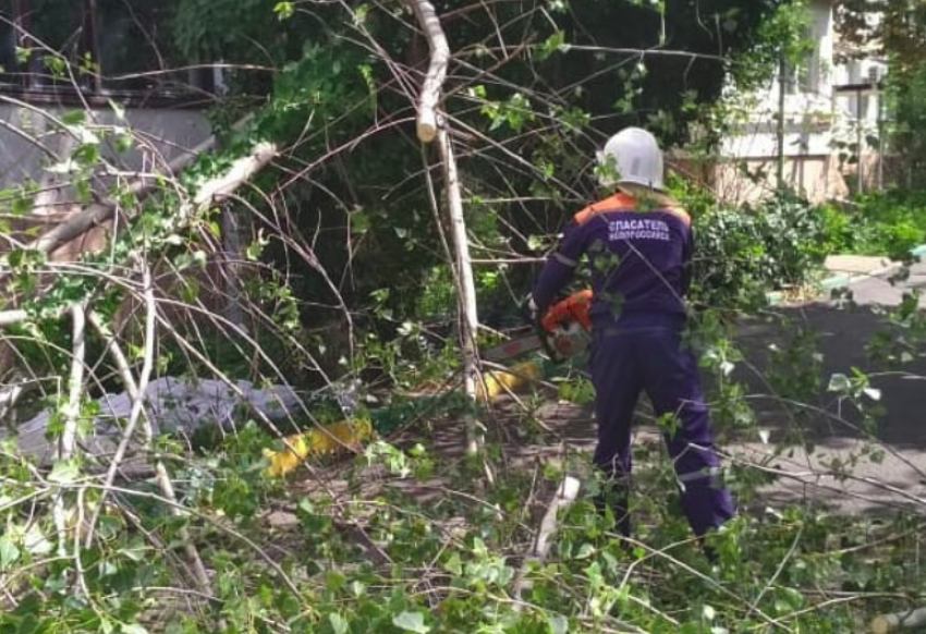 На Кубани пенсионерку снесло палаткой, а ребенка задавило упавшей веткой