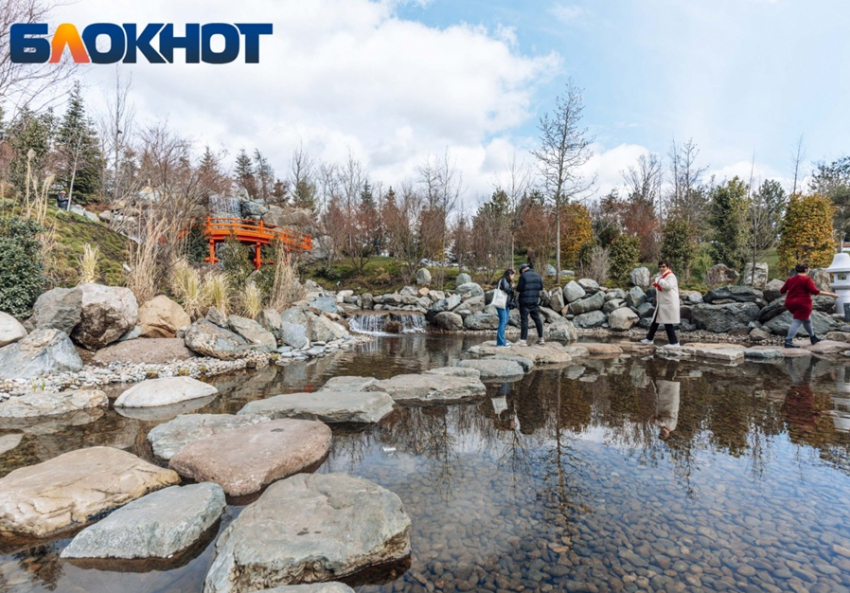 Весеннее тепло ворвётся в Краснодар в конце января