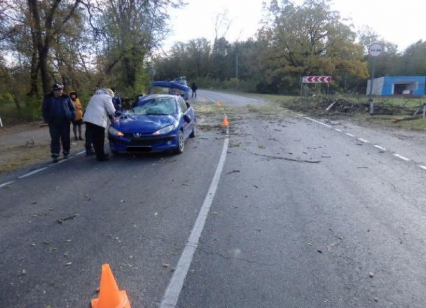 На Кубани во время урагана пострадал двухмесячный младенец