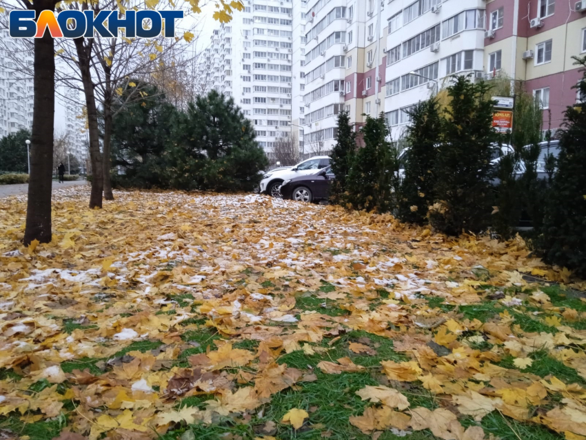 Сильный ветер с дождем и мокрым снегом обрушится на Краснодар 8 декабря