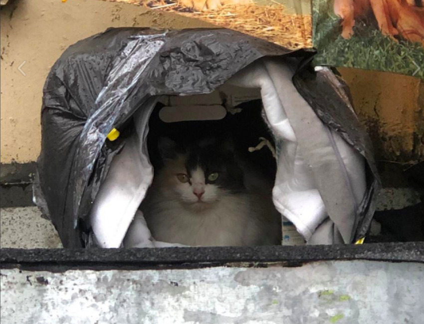 Очередная порция дождей ждет Краснодар 