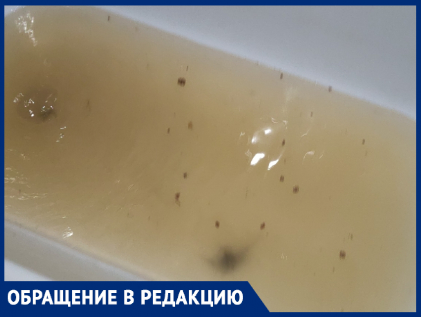 «УК грозится выселением, если будем жаловаться»: жителей переулка Гаражный в Краснодаре топит водой и фекалиями