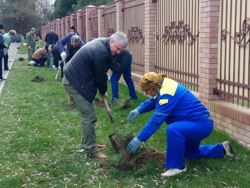 Юбилейный микрорайон Краснодара озеленили 