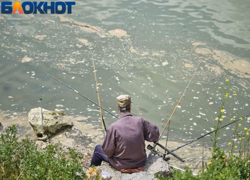 В Краснодаре Росприроднадзор подтвердил загрязнение реки Кубань 