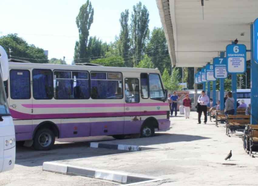 Пассажирские автобусы между Крымом и Кубанью снова начали ходить