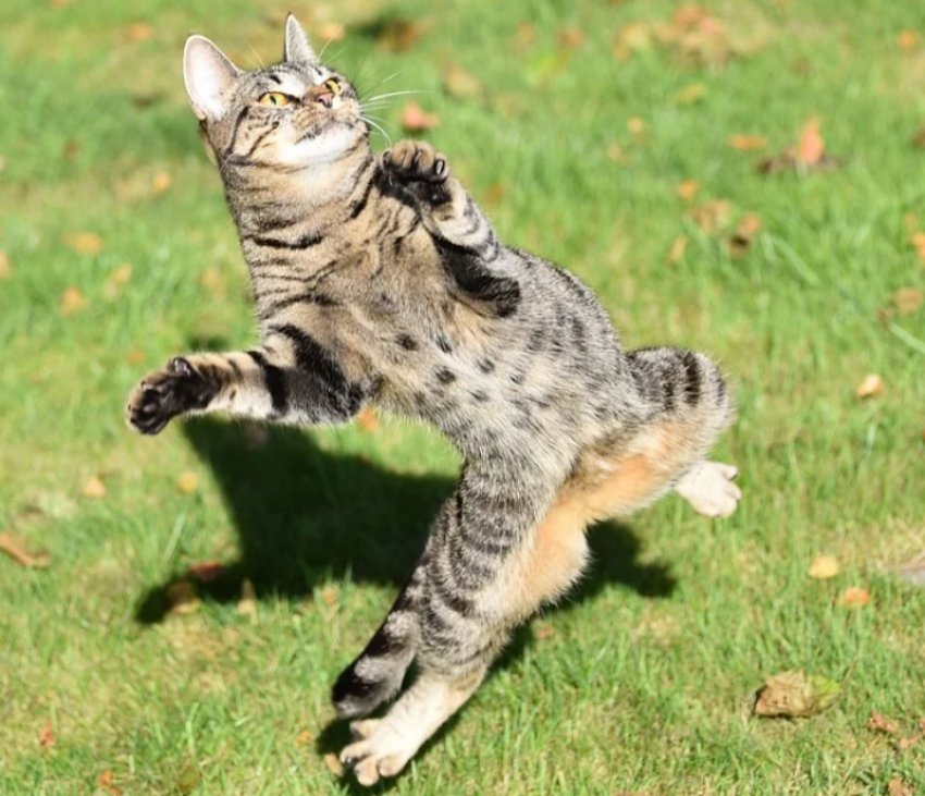  Дожди все еще могут пройти на Кубани 