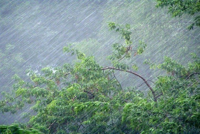 Сильные дожди прогнозируются в Сочи на выходных