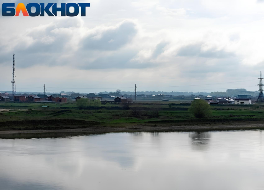 В кубанском поселке жестоко расправились с беззащитными кошками