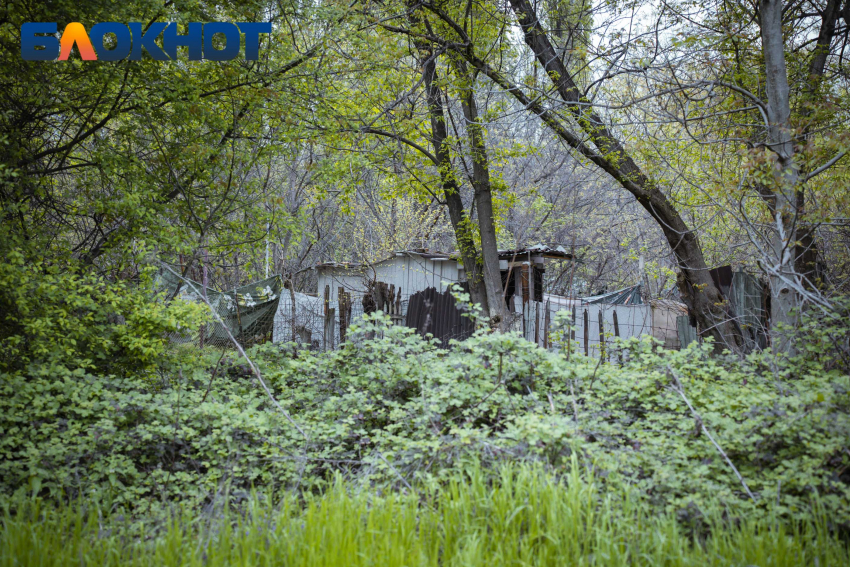 В Краснодарском крае до 27 июля запретили посещать леса и жечь костры