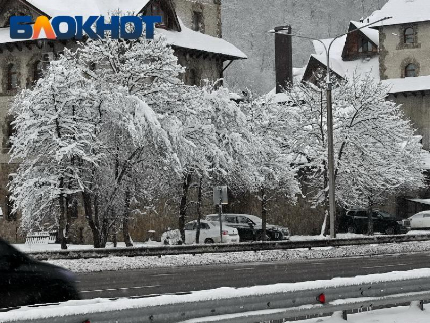 Аномальное тепло в Краснодаре сменится мощной непогодой 