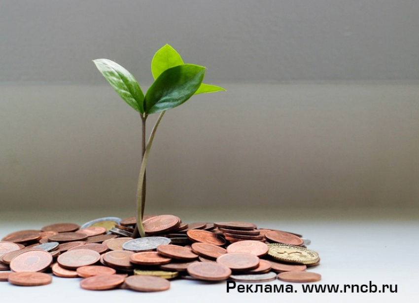 Кредитный портфель физических лиц в РНКБ превысил 110 млрд рублей