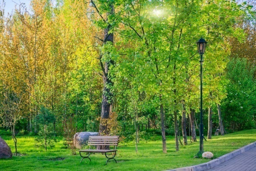 В Краснодаре вокруг Покровских озер вернут зеленые зоны