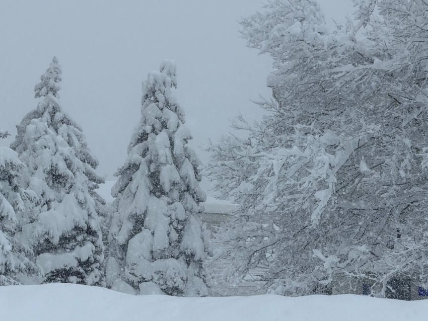 Погибло два человека, введен режим ЧС: мощная непогода обрушилась на Кубань и Адыгею 