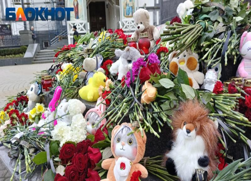 В Краснодаре магазины раздают гвоздики для мемориалов погибшим в «Крокусе»