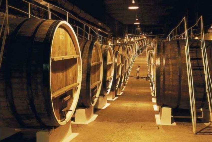 На Кубани будут делать еще больше виноматериала 