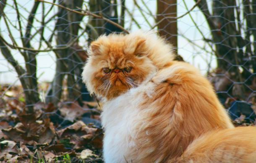 Ветреный вторник ожидает всех жителей Краснодарского края