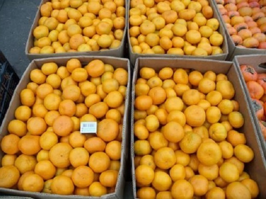 Из-за клопов, уничтоживших в Сочи половину цитрусовых, в России подорожают апельсины