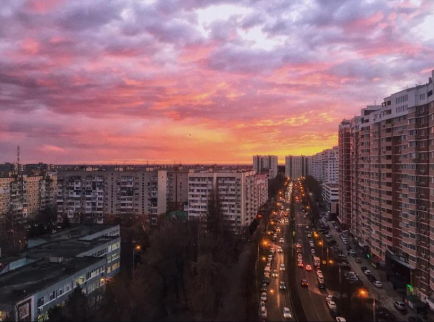 Важное в Краснодаре 24 июля: поздравляем флористов и кадастровых инженеров, подбадриваем грустных товарищей, не убираем