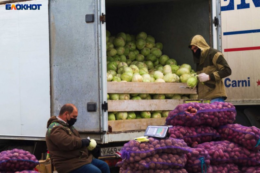  В Минсельхозе Кубани рассказали о помощи фермерам с продажей овощей 