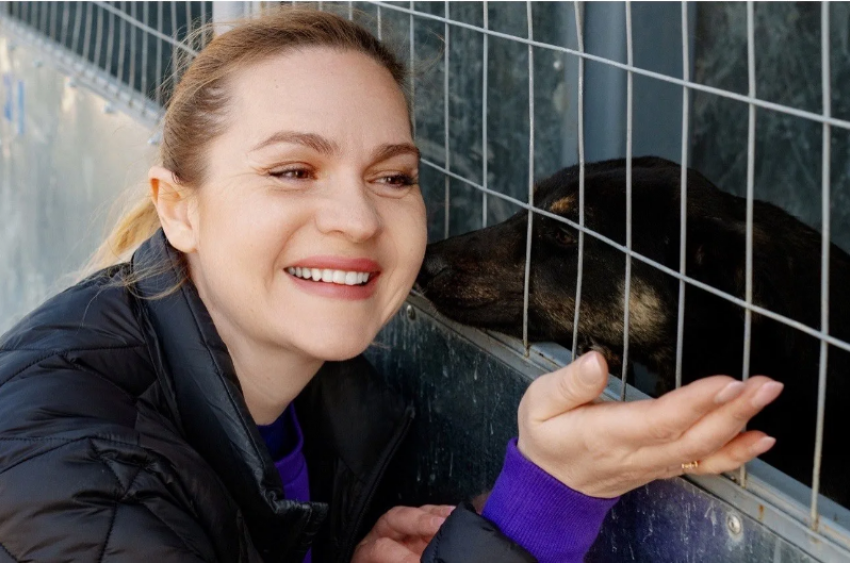 300 килограммов корма и 150 надежд: как строительная компания ССК поддерживает бездомных собак