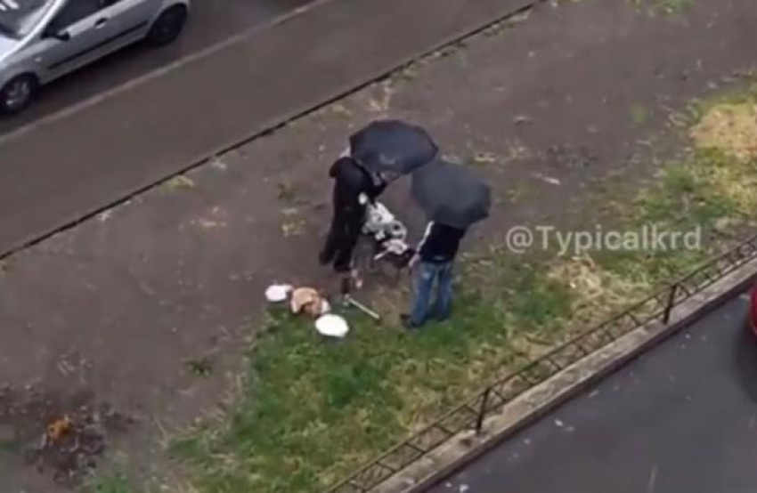 Краснодарцы, жарящие шашлык в дождь под зонтами, попали на видео 